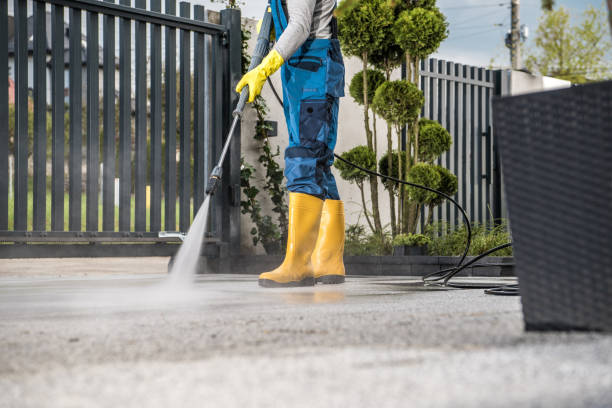 Trusted Pasadena, TX Pressure Washing Services Experts